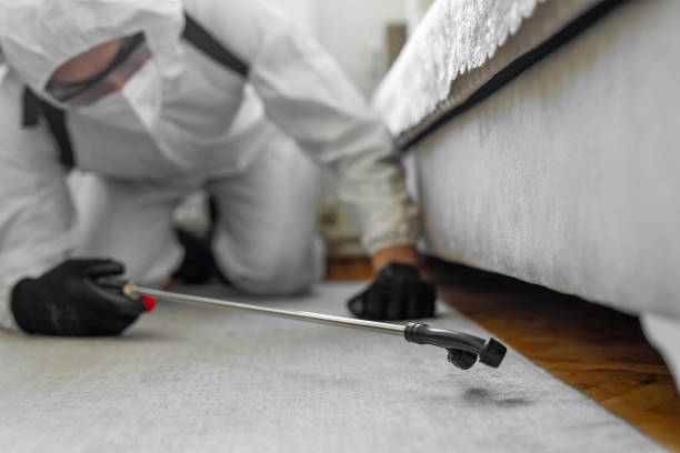Professional Termite Control technician working in Raven, VA