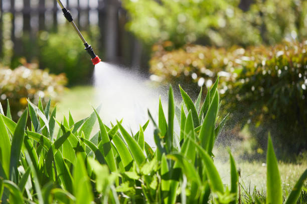 24/7 Emergency Termite Control experts in Raven, VA