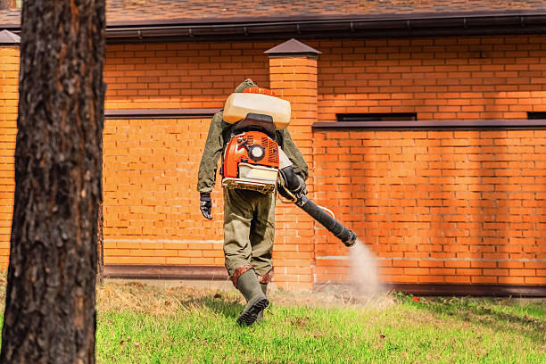 Top rated local Termite Control specialists in Raven, VA